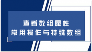 查看数组属性常用操作与特殊数组